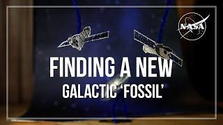 Finding a New Galactic “Fossil”