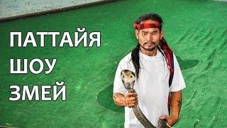 Шоу со змеями в Паттайя на змеиной ферме - THAIHI.RU