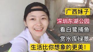 广西妹子打卡深圳东湖公园，悠闲自在看白鹭捕鱼，生活比你想象的更美！#广西妹子深圳打工 #深圳 #打工人的周末