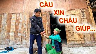 Mẹ em Già bất chấp chặn đường cầu xin điều này. Em Già gặp nạn rồi?