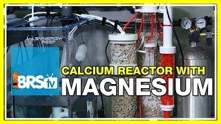 FAQ #2: Why do I supplement magnesium while running a calcium reactor? | 52 FAQ