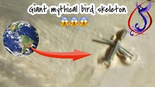 Omg  giant mythical bird skeleton on google earth #googleearth #findearth #mythicalcreatures