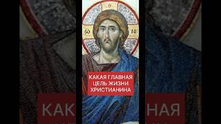 КАКАЯ ГЛАВНАЯ ЦЕЛЬ ЖИЗНИ ХРИСТИАНИНА