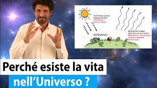 Lo SCORRERE DEL TEMPO e i QUANTI sono ALL'ORIGINE DELLA VITA sulla Terra e nell'Universo !