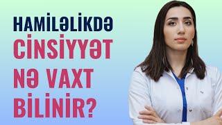 Uşağın Cinsiyyətini əvvəldən Öyrənmək Olur? | Ginekoloq Vüsalə Əzizova