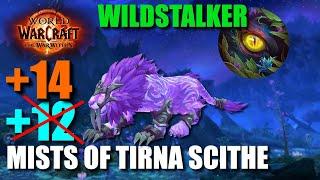 +14 Mists Of Tirna Scithe, Feral Druid POV | The War Within