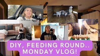 DIY, FEEDING ROUND | MONDAY VLOG!