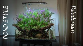 Building a Pond Style Paludarium - Step by Step - Tutorial - The World of Green