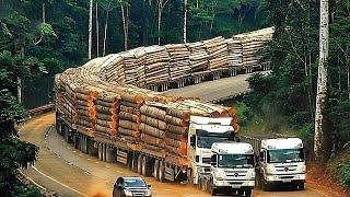 Amazing Dangerous Cutting Huge Tree Skills With Chainsaw, Incredible Logging Truck & Wood Chipper