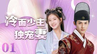 MULTISUB 《冷面少主独宠妻》 The Last Immortal EP01 | 赵露思 郑业成  | 且试天下 偷偷藏不住 神隐 星汉灿烂 hiddenlove | 【追剧杂货铺】