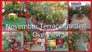 November month terrace garden overview/wintersaplings/perennial plant/starting winter garden update