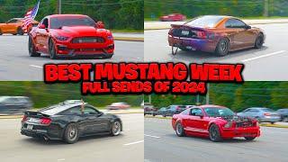 BEST SENDS OF MUSTANG WEEK 2024!! (Burnouts, Drifting, Full Sends, Cops etc)