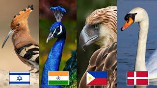 National Bird of Every Country | Official and Unofficial