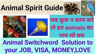 Use Animal Spirit Guide Switchword To Solve Your Problems Love, Job, Money, Addiction