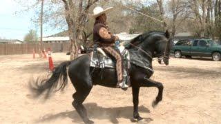 Ramiro Perez Dancing Horses