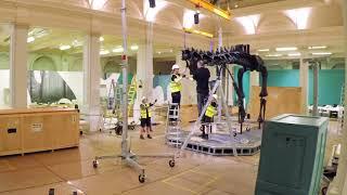 Putting together Dippy the Diplodocus at Birmingham Museum and Art Gallery