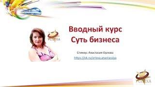 Вводный курс ღ Суть бизнеса ღ Анастасия Орлова