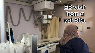 A STRAY CAT SENDS ME TO THE EMERGENCY ROOM