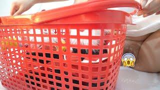 How to clean the red plastic basket - red plastic basket with many holes