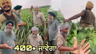 ਮੂੰਗੀ ਵੀ 50% ਪੱਕ ਗਈ // 95 ਅਤੇ 85 ਬੀਜ ਪੂਰੇ ਟੋਪ ਦੇ ..? ​⁠@heera8553