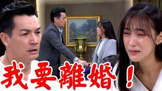 一家團圓│EP230 木林見流產報告一氣之下離家出走 雅淳難過淚崩想離婚 Family Reunion│ Vidol.tv