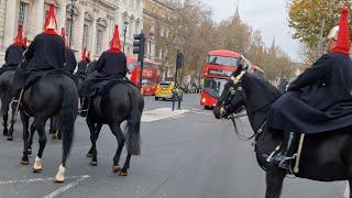 Respect & Honour: homecoming of The Blues and Royals from the Horse Guards in London