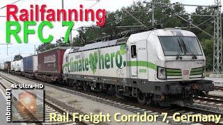 [8H][4k] Railfanning RFC 7 South of Berlin, Germany. Climate Hero Vectron DB 193 363, 08/07-10/2021