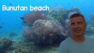 Our favorite dive site around Amed, Bali. Bunutan beach. Episode 88