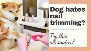 Dog Hates Nail Trimming (dog nail clipping alternative using a scratching board)