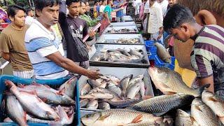 Biggest Wholesale Fish Market In Bangladesh/Live Fish Market 2022