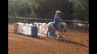 Australian Extreme Cowgirls Virtual Show Round 3- Int. Over 18-  Ashir Kol & Rooster Like a Diamond