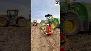 John Deere 9900i Forage Harvester on Maize Silage #agri