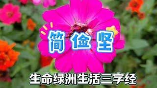 生命绿洲生活三字经