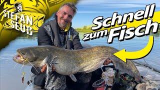 SCHNELL zum FISCH | KLOPFEN wirkt WUNDER | Erfolgreich WELSANGELN mit Wallerholz, Teaser und Wurm