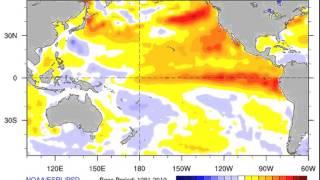 Average Weekly Sea Surface Temperature Anomalies During El Niño