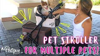 A MUST HAVE for Multiple Pets! | Petique's Deluxe Double Decker Pet Stroller