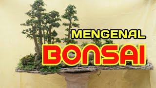 SEJARAH DAN JENIS BONSAI - MINIATUR TANAMAN | BINGKAI DESA