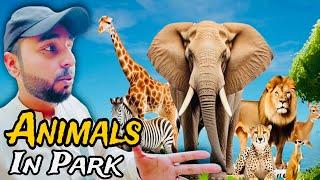 Park Men Animals Aa gaye