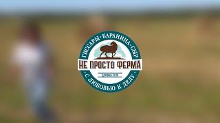 Дело нашей жизни - «Не просто ферма»