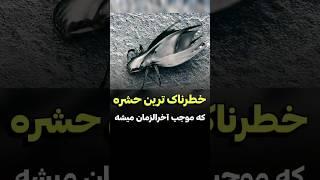 این حشره ترسناک باعث پایان جهان میشه | دنیای فیلم