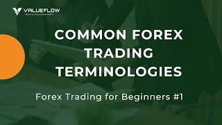 Forex Trading For Beginners #1: Forex Trading Common Terminologies