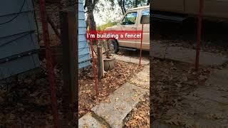 Building a fence to keep the deer out#mountainlife #gardening #homesteading #insteading