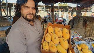 Premium export Quality mango | Pakistani best chonsa Mango | daily fruit mandi update |