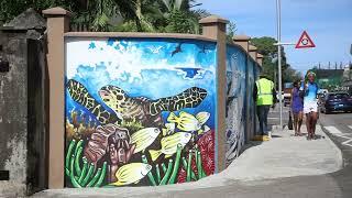 Save Our Seas Foundation Seychelles Mural