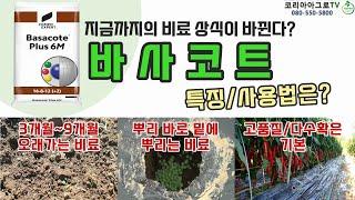 바사코트 특징과 사용방법은?