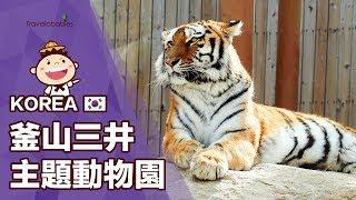 【釜山三井主題動物園】 在地人的假期選擇！釜山唯一動物園