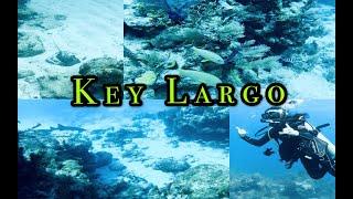 Vlog#018 Key Largo 潜水|  三天兩夜PADI Open Water考证｜全美最佳潜水圣地 | 偶遇鲨鱼 | Scuba diving in Key Largo