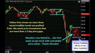 Best algorithmic trading strategies (Now you are safe)