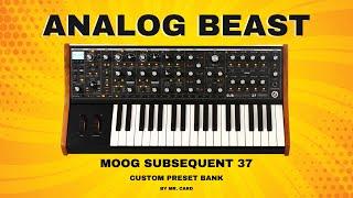 Moog Subsequent 37 - Analog Beast [SOUNDSET] • Custom Presets