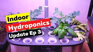 Indoor Hydroponics Update 3: LetPot LPH Max